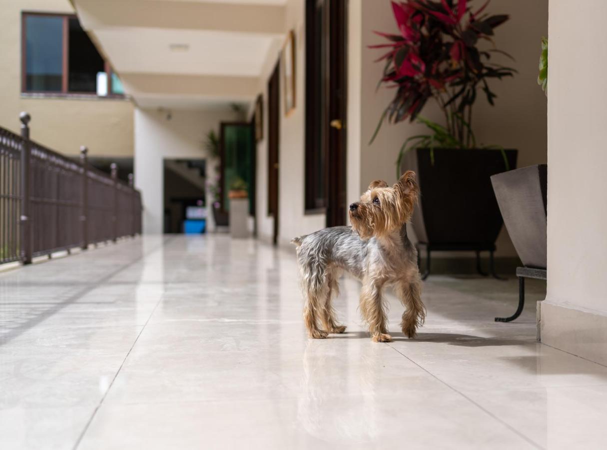 Casa De Las Flores Hotel Oaxaca Экстерьер фото