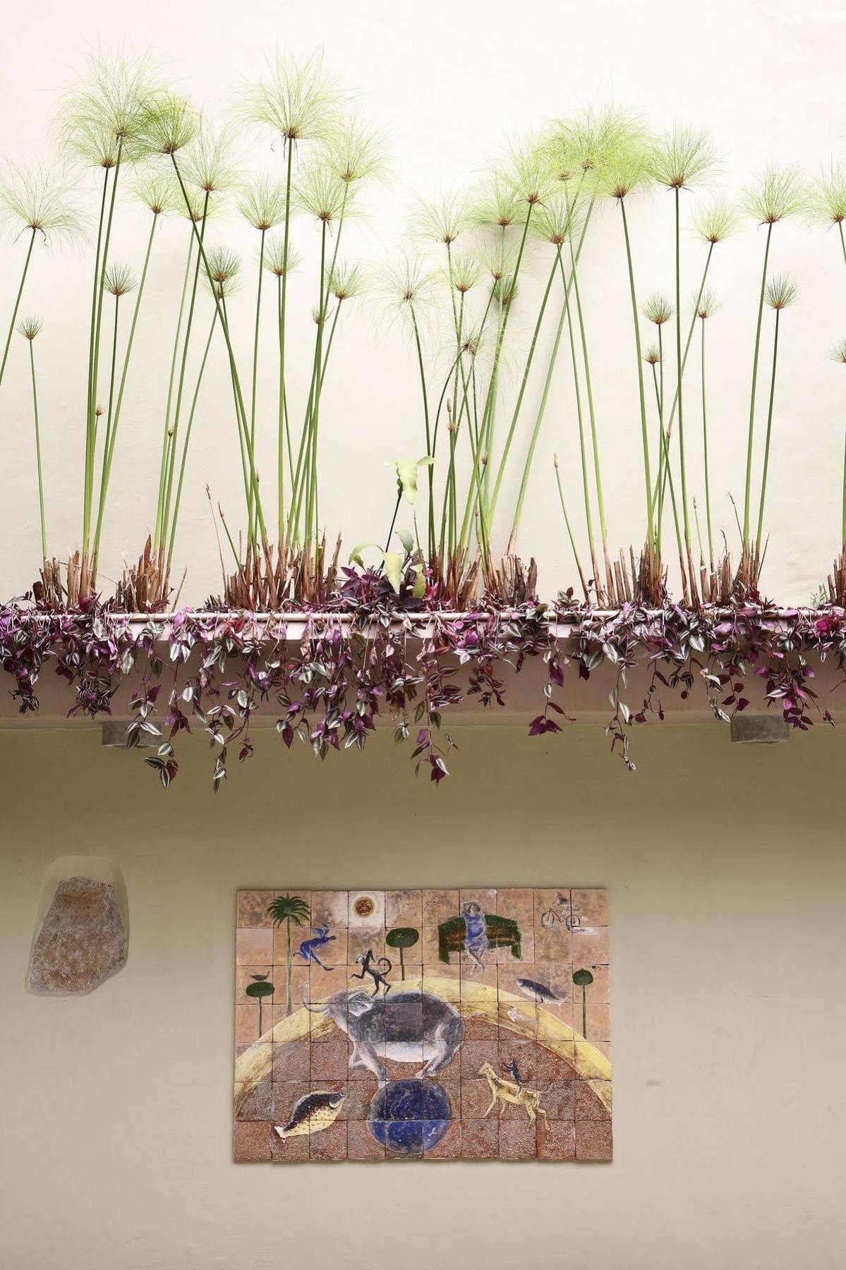 Casa De Las Flores Hotel Oaxaca Экстерьер фото